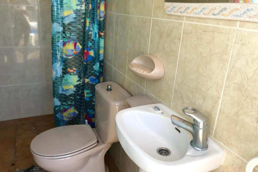Villa Philip Piscina Privada Miami Playa Exteriör bild